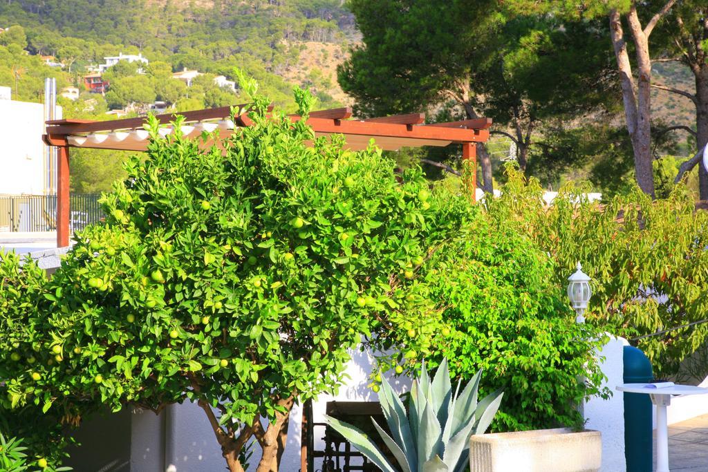Villa Columbus Family Boutique Hotel Peguera Exterior foto